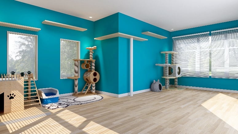 Cat room
