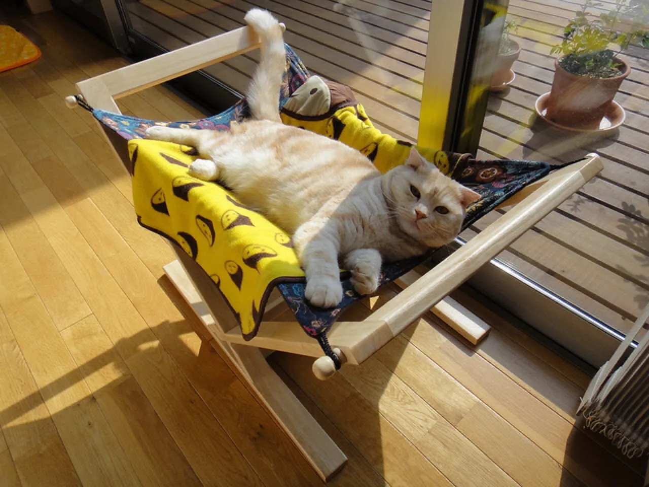 cat bed furniture hammock cat hammock bed