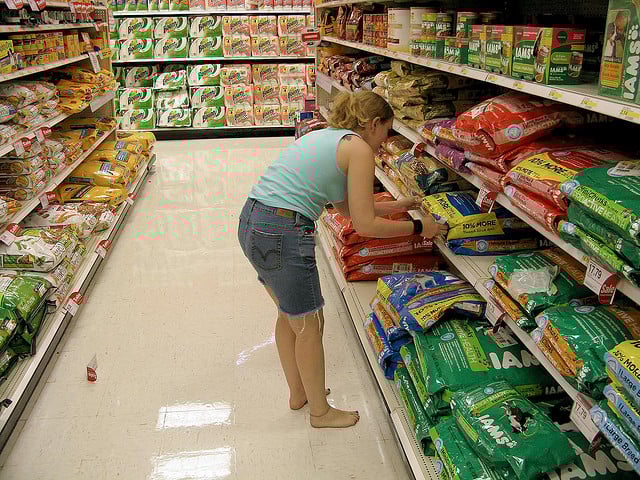 dog food brands
