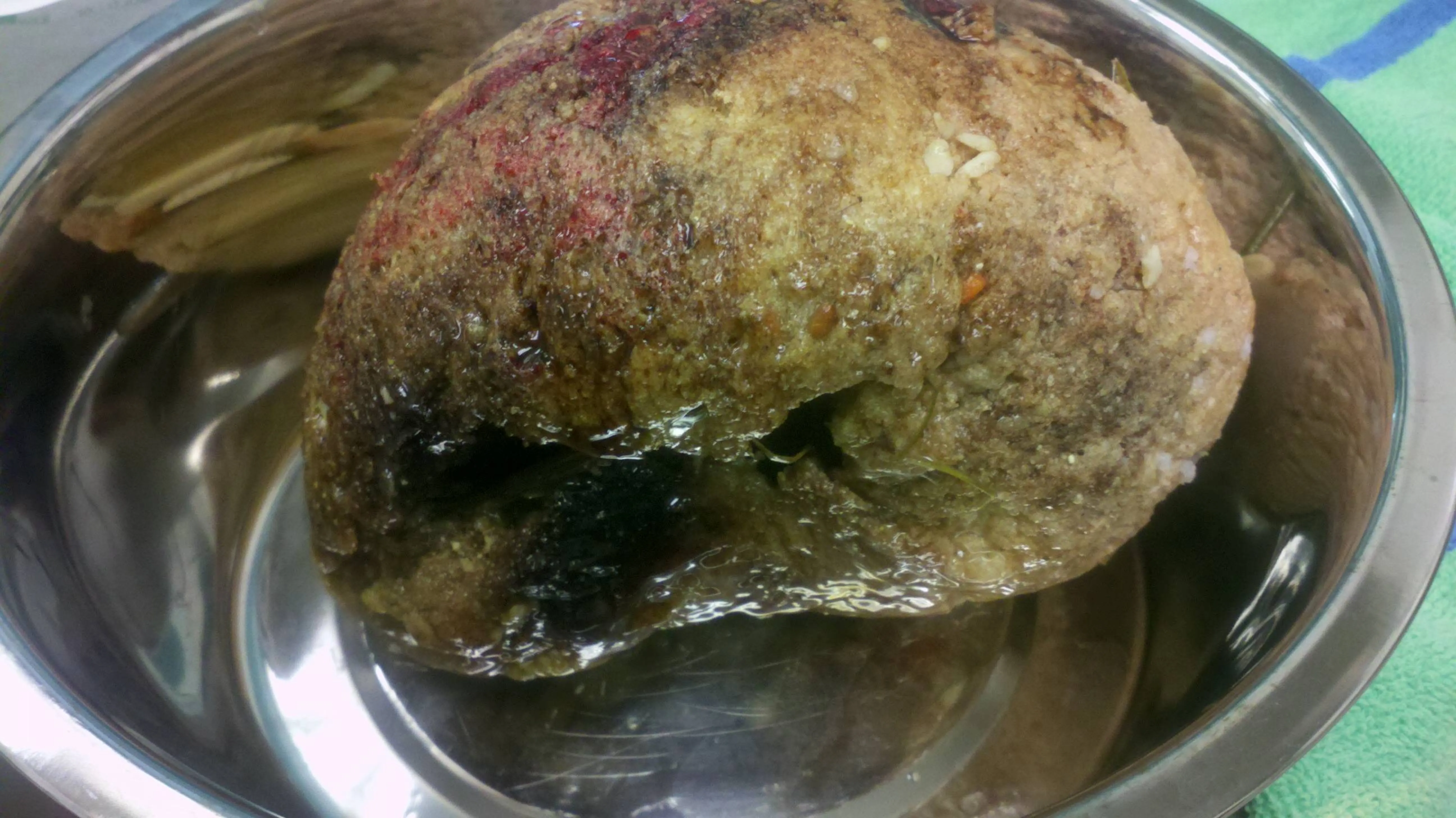 dog gorilla glue intestinal obstruction dog ate Gorilla Glue