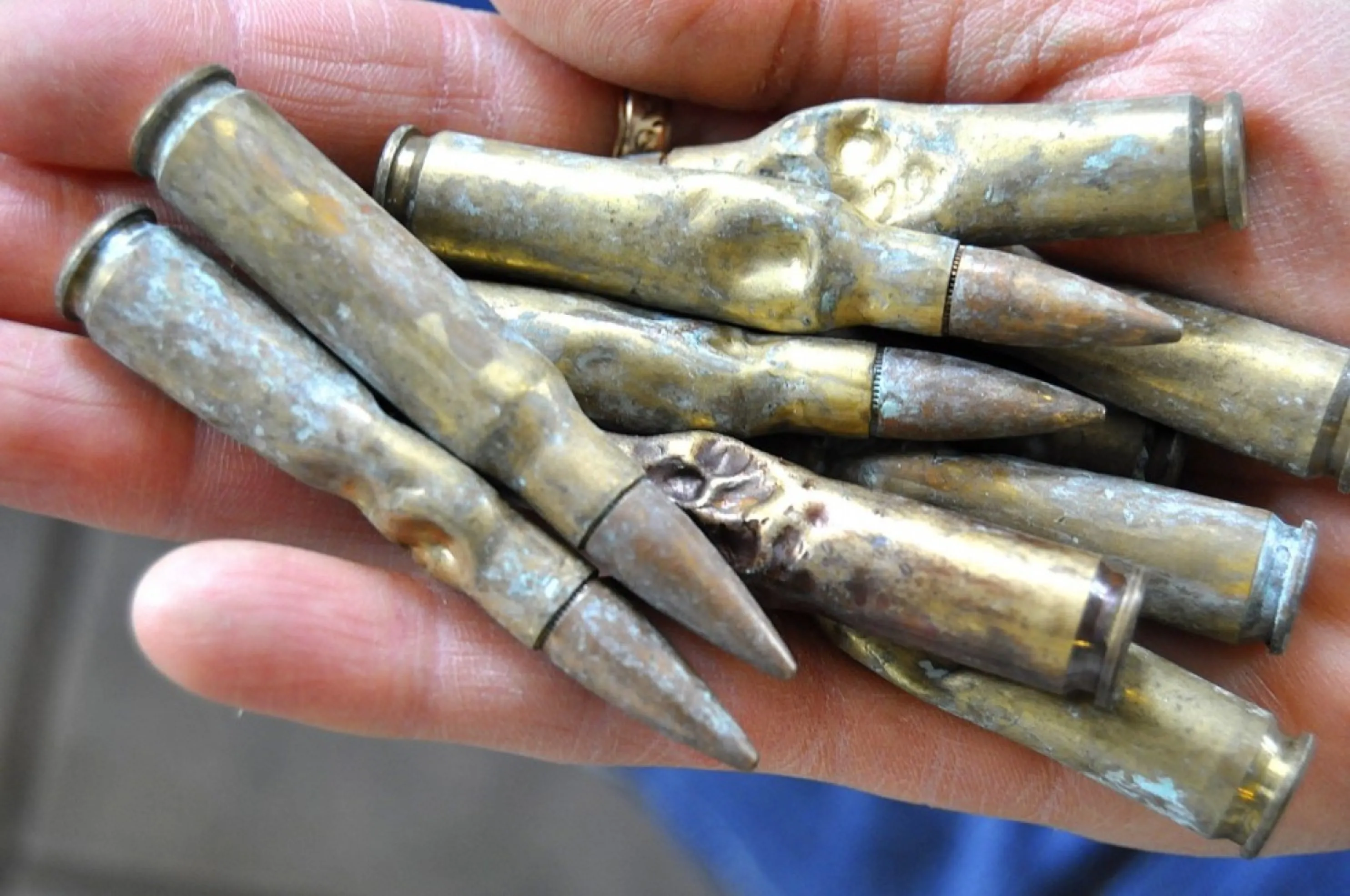 dog intestinal obstruction dog ate bullets