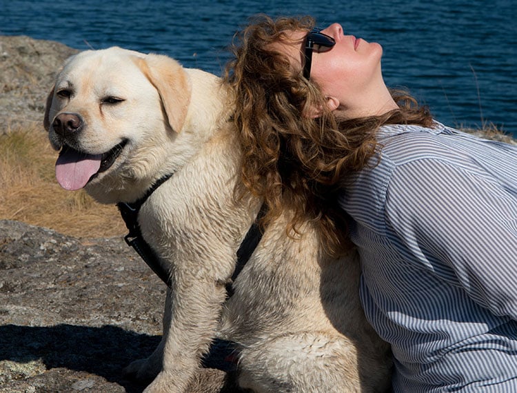 Hudson, a yellow lab with his owner