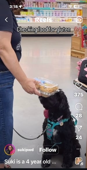 tiktok of a dog sniffing muffins at a grocery store